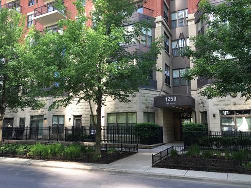 1250 S Indiana Unit 107, Chicago, IL 60605
