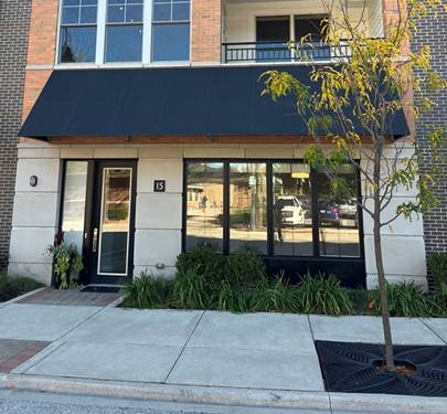 229 Park Unit LW-21, Clarendon Hills, IL 60514
