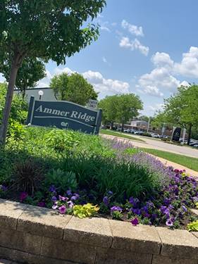 1963 Ammer Ridge Unit 102, Glenview, IL 60025