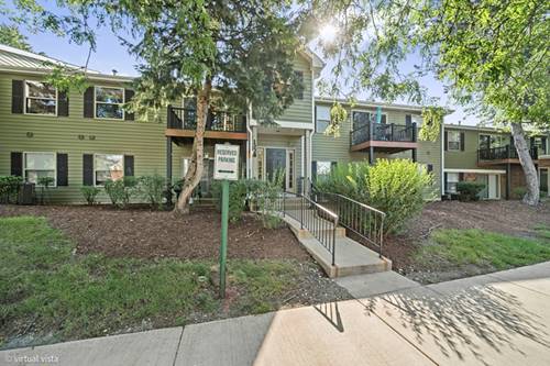 1328 Mc Dowell Unit 103, Naperville, IL 60563