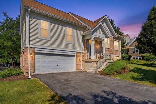 5560 Cambridge Unit 1, Hanover Park, IL 60133
