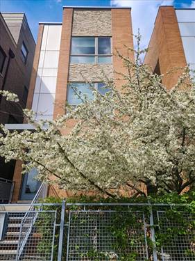 1350 W Diversey Unit 3, Chicago, IL 60614