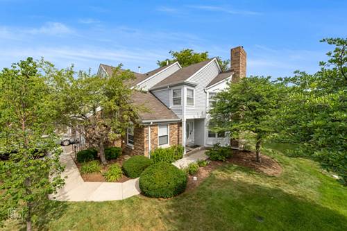 98 Willow Unit 98, Buffalo Grove, IL 60089