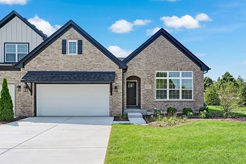 14147 S Sheffield Unit 52, Homer Glen, IL 60491