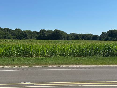 14 Acres Route 20, Marengo, IL 60152