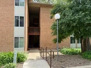 5813 Oakwood Unit D, Lisle, IL 60532