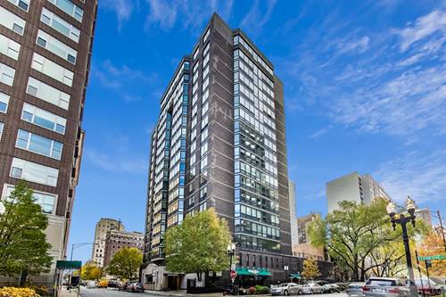 21 W Goethe Unit 9E, Chicago, IL 60610
