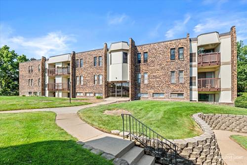 2220 Country Club Unit 22, Woodridge, IL 60517