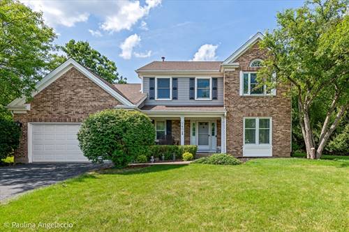 1408 Village, Buffalo Grove, IL 60089