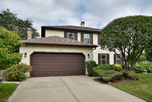128 Hunter's, Schaumburg, IL 60193