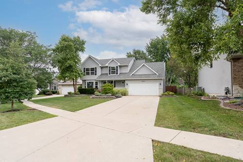 24826 Jensen, Shorewood, IL 60404