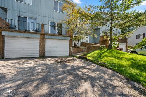 298 Sunset Unit 298, New Lenox, IL 60451