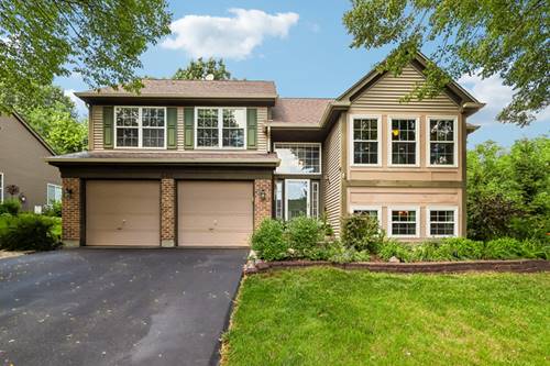 442 Harbor, Carpentersville, IL 60110