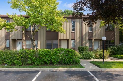 620 N Hough Unit A, Barrington, IL 60010