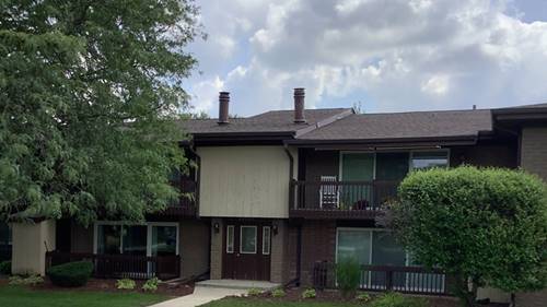 15837 Orlan Brook Unit 19, Orland Park, IL 60462