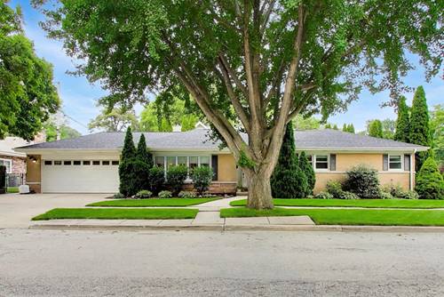 544 Park Plaine, Park Ridge, IL 60068