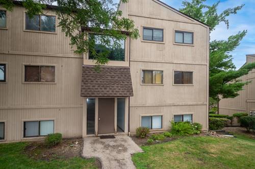 53 Oak Hill Colony Unit 3, Fox Lake, IL 60020
