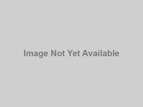 3051 N Leavitt, Chicago, IL 60618