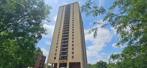 3001 S Michigan Unit 2406, Chicago, IL 60616