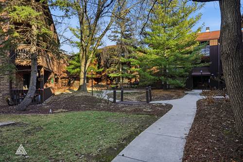 9609 Austin Unit W3, Oak Lawn, IL 60453
