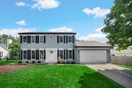 966 W Bauer, Naperville, IL 60563
