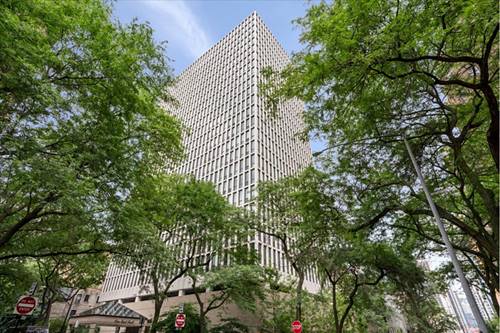 1 E Scott Unit 611, Chicago, IL 60610