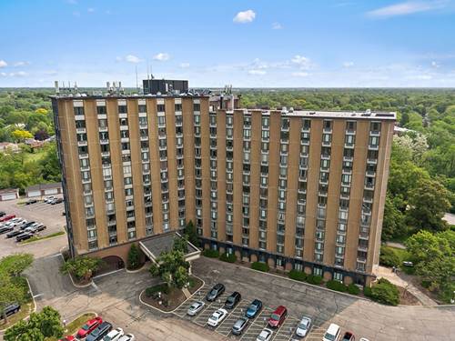 1 Renaissance Unit 517, Palatine, IL 60067