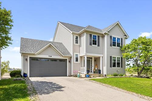 739 Bonaventure, Oswego, IL 60543