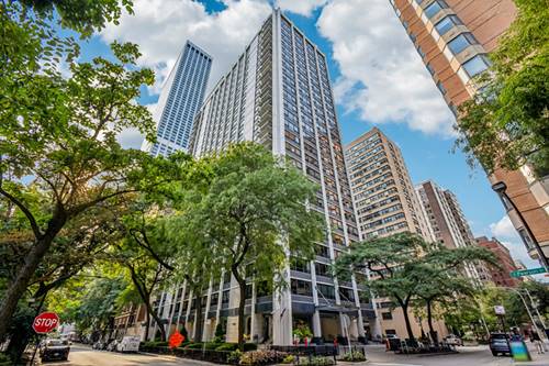 222 E Pearson Unit 1006, Chicago, IL 60611