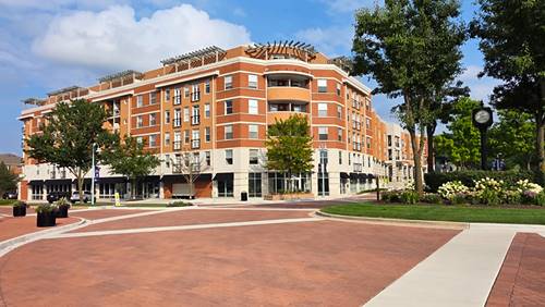 400 Village Unit 302, Willow Springs, IL 60480