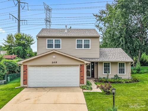 205 Yellow Pine, Bolingbrook, IL 60440