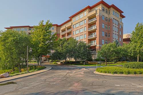 40 Prairie Park Unit 601, Wheeling, IL 60090