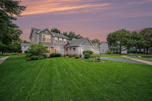 915 Joan, Naperville, IL 60540