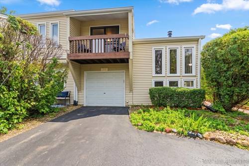 1641 Cove, Naperville, IL 60565
