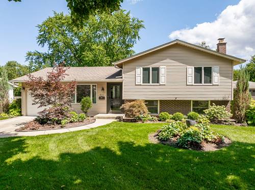 1017 N Timberlea, Palatine, IL 60067