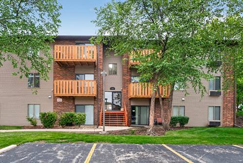 718 Rodenburg Unit 206, Roselle, IL 60172
