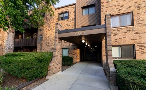 1100 E Randville Unit 110, Palatine, IL 60074