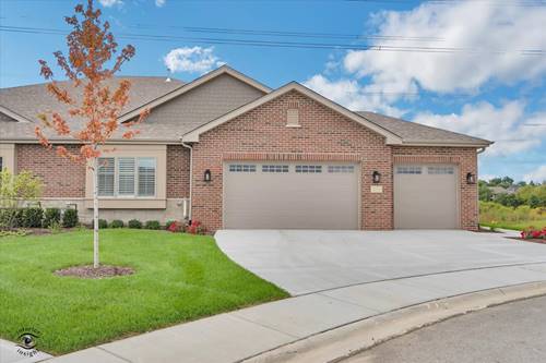 8869 Buffington Breakwater, Frankfort, IL 60423
