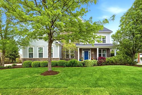 4836 Shumard, Naperville, IL 60564