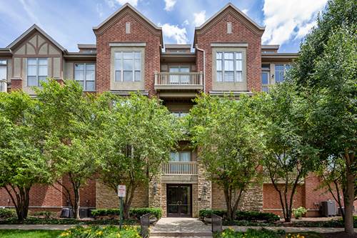 1781 Tudor Unit 204, Northbrook, IL 60062