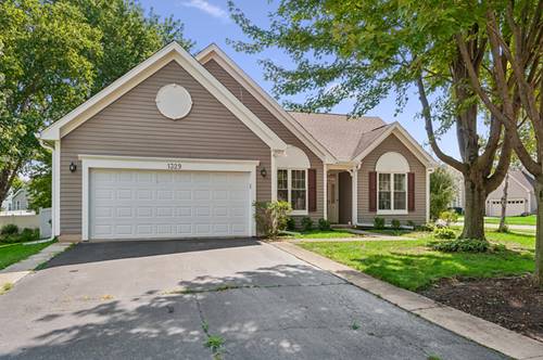 1329 Amaranth, Naperville, IL 60564