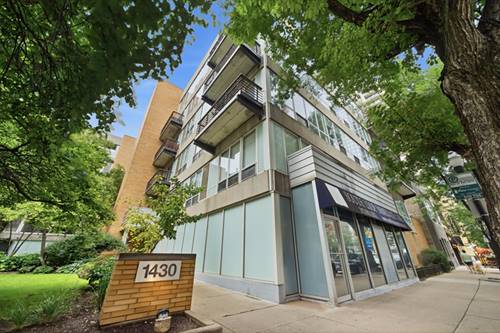 1430 S Michigan Unit 409, Chicago, IL 60605