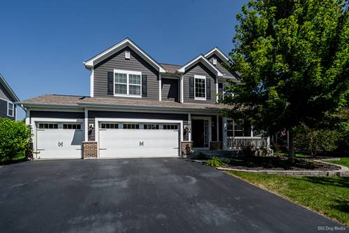 16106 W Sand Lilly, Lockport, IL 60441