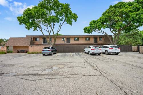 520 E Main Unit 1C, Barrington, IL 60010