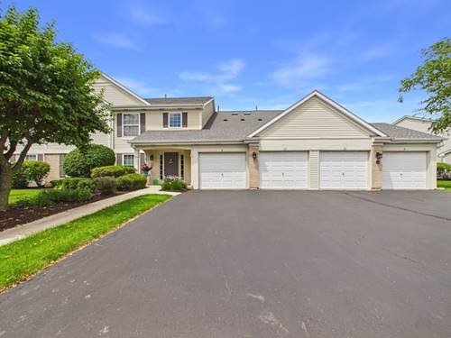 13834 S Bristlecone Unit d, Plainfield, IL 60544