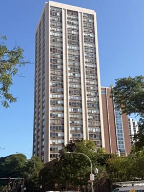 70 W Burton Unit 2401, Chicago, IL 60610