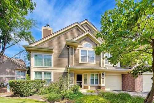 1223 Old Mill, Elk Grove Village, IL 60007