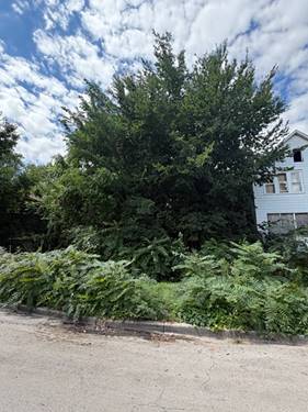 8228 S Manistee, Chicago, IL 60617