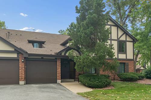 8225 Juniper Unit 34D, Palos Hills, IL 60465