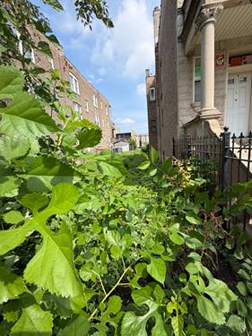 1517 S Millard, Chicago, IL 60623